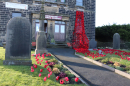 Poppy Display